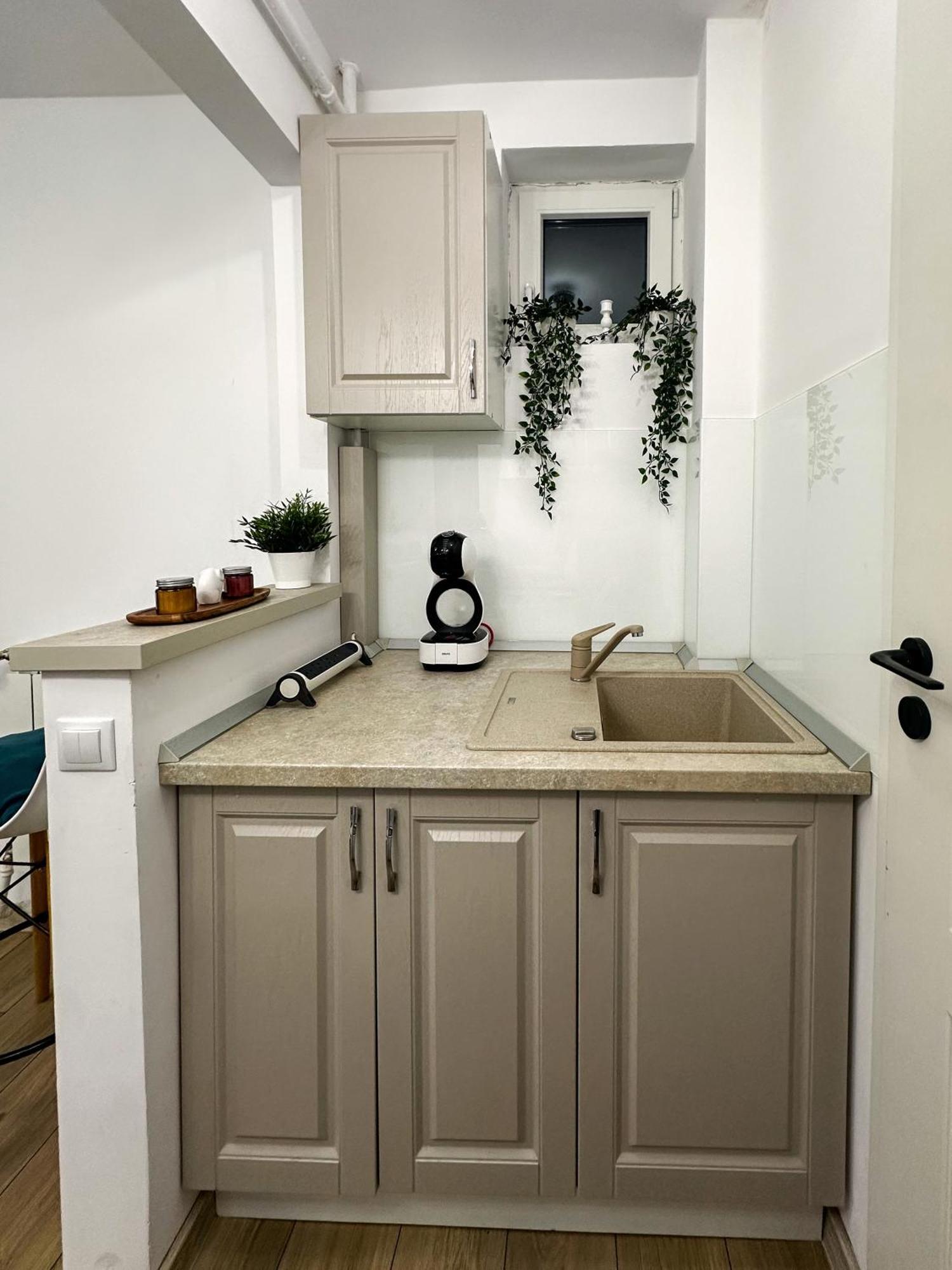 Superior One Bedroom Apartment Unirii Square Бухарест Экстерьер фото